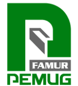 FAMUR PEMUG